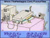 cat scan.jpg (16897 bytes)